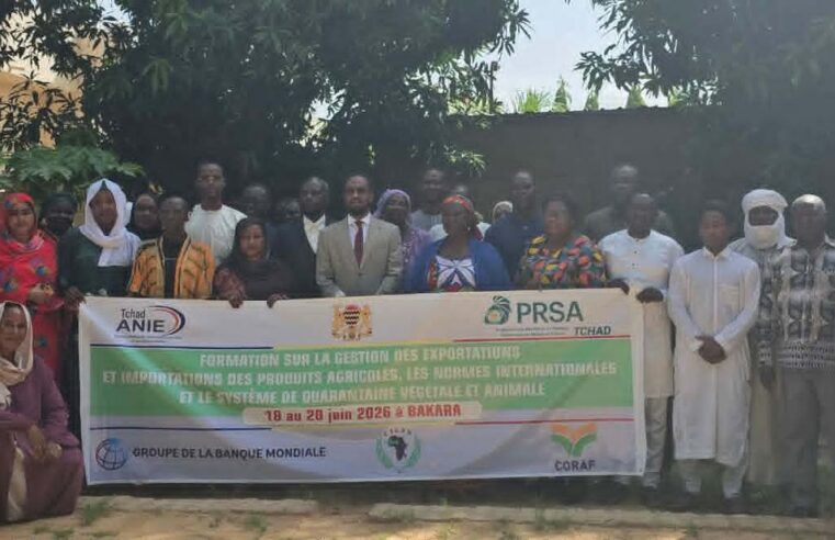 Le Tchad booste ses exportations agricoles pour conquérir de nouveaux marchés