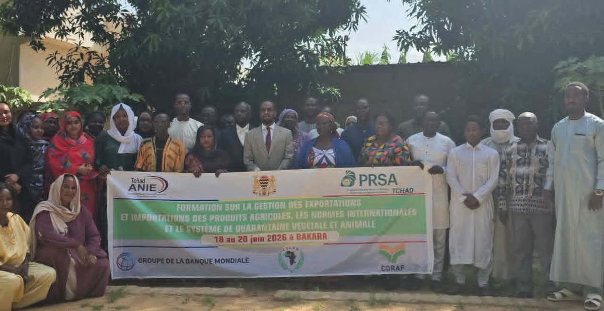 Le Tchad booste ses exportations agricoles pour conquérir de nouveaux marchés