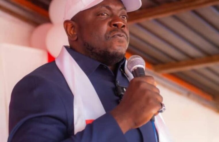 Le grand Katanga s&rsquo;anime : l&rsquo;APEC de Louis Watum Kabamba pousse pour une nouvelle constitution en RDC