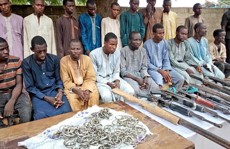 Près de 10 000 anciens membres de Boko Haram réintégrés dans le nord-est du Nigeria