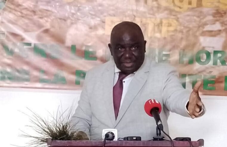 Gabon : le défi de la crédibilité démocratique à travers les procédures administratives