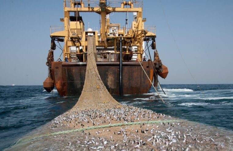 Le Gabon met fin à l&rsquo;accord de pêche avec Bruxelles