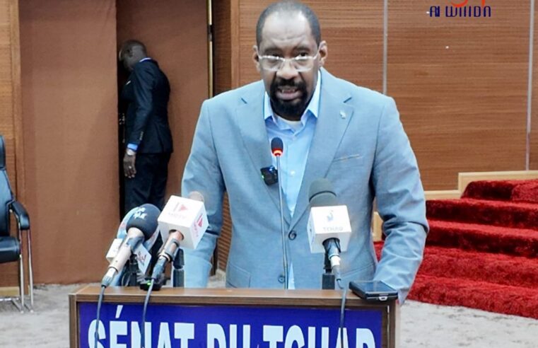Le ministre de la sécurité du Tchad s&rsquo;explique devant les sénateurs sur la persistance des violences