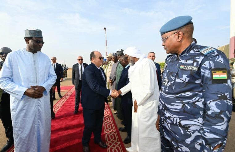 Inauguration de la centrale électrique solidarité à Niamey par le premier ministre algérien