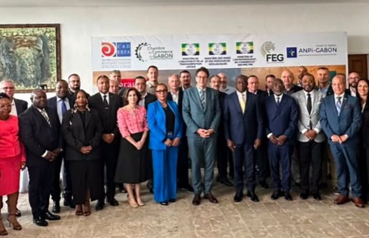 Gabon : l&rsquo;industrialisation pour briser la dépendance aux matières premières