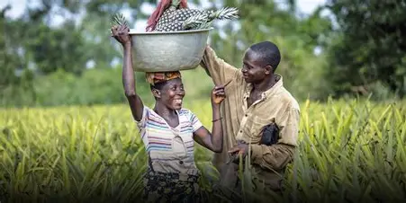 Le Bénin sécurise son avenir agricole avec un financement stratégique de la BID