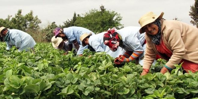 Le Maroc anticipe une solide accélération économique en 2025