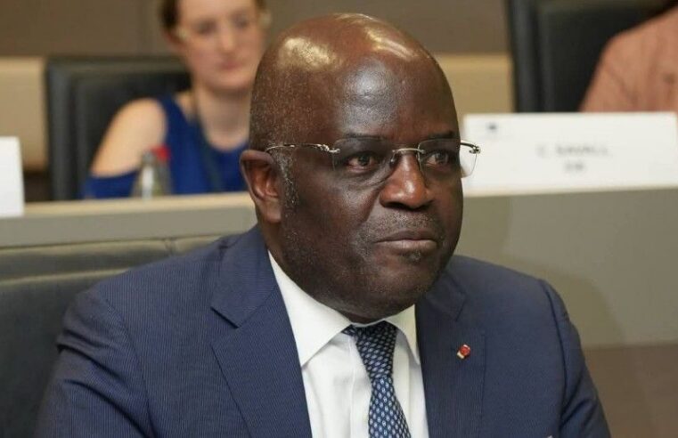 Gabon : la transformation des ressources au cœur de la stratégie économique