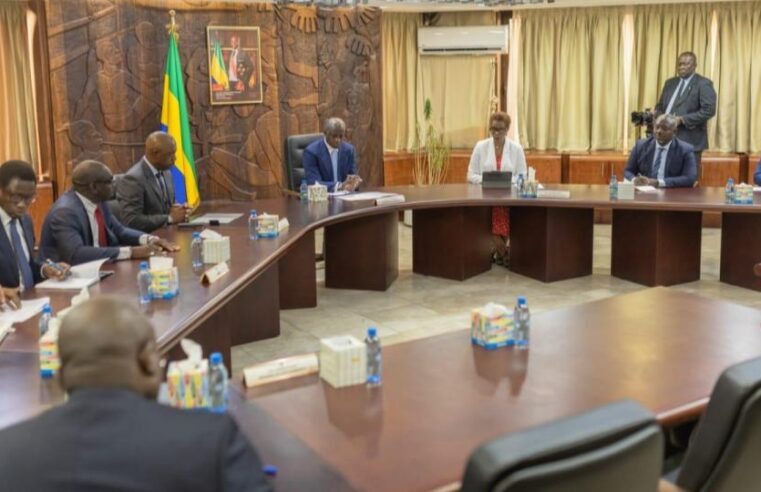 Gouvernement gabonais et bad : un plan pour dynamiser les projets clés