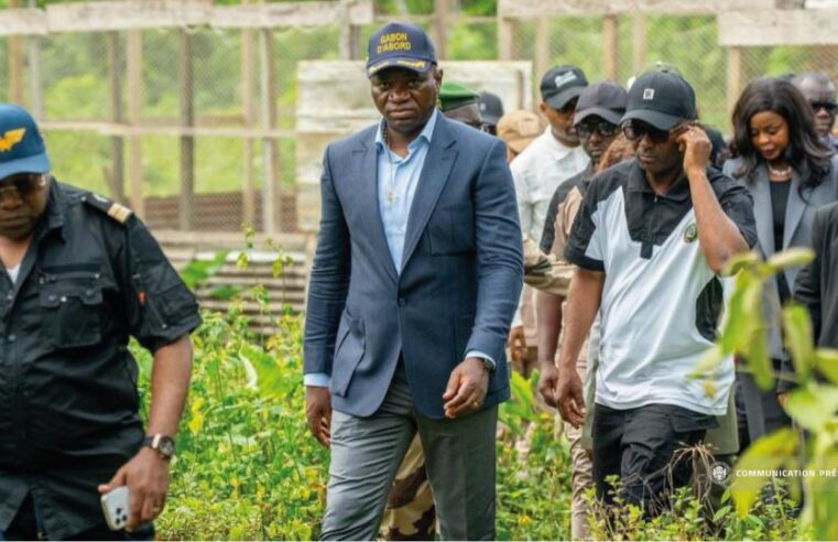 Gabon : 25 milliards FCFA pour briser la dépendance alimentaire selon Oligui Nguema