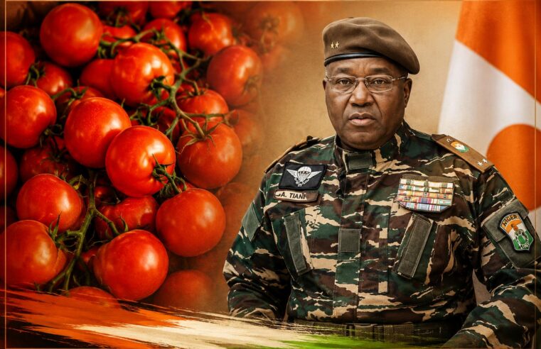 Tomate nigérienne : l&rsquo;aide italienne de 3 millions d&rsquo;euros remet en cause la souveraineté