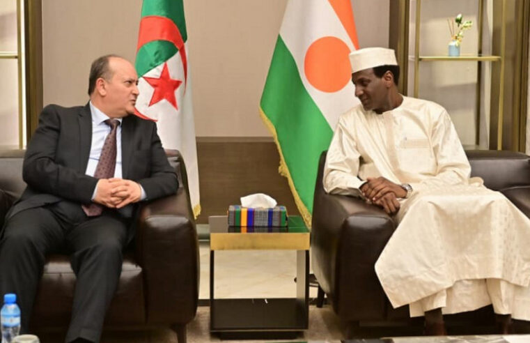 Algerie et Niger : une centrale électrique pour booster l&rsquo;énergie à Niamey