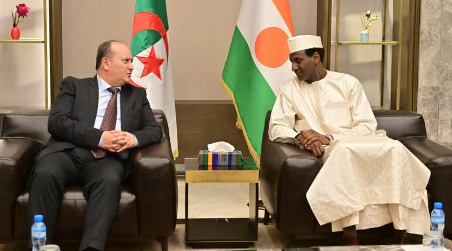 Algerie et Niger : une centrale électrique pour booster l&rsquo;énergie à Niamey