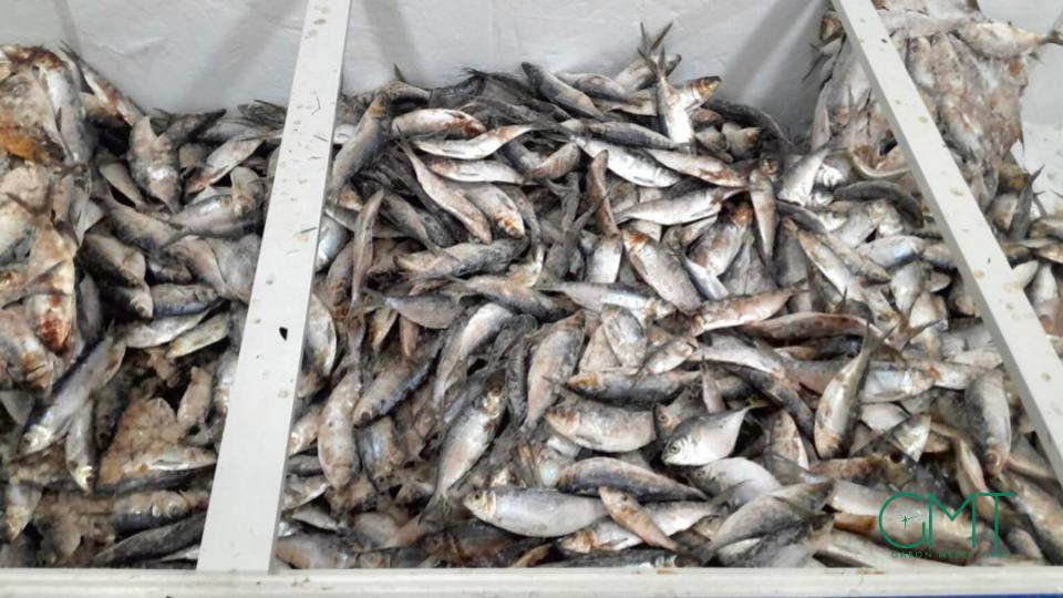 Le Gabon restreint l&rsquo;exportation de poissons pour sécuriser l&rsquo;approvisionnement local