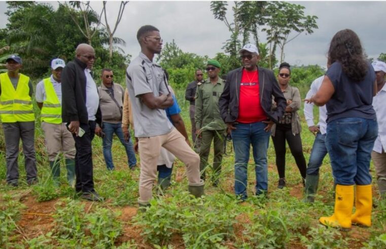 Gabon : la science au service de l&rsquo;autonomie alimentaire