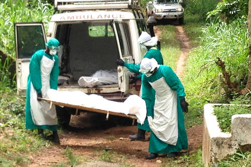 Ébola en RDC : plus de 500 morts, une menace pour la santé publique