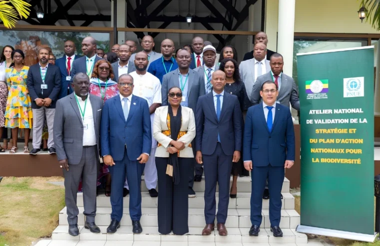 Gabon : une stratégie ambitieuse pour préserver 30% de son territoire d’ici 2030