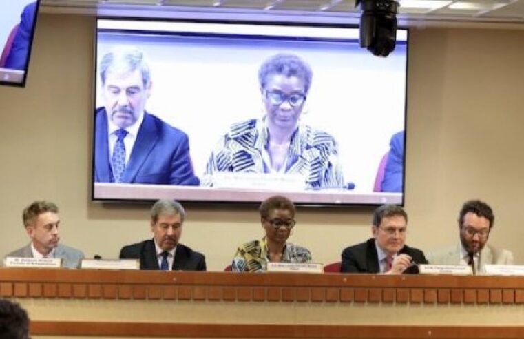 Le Gabon exige une refonte radicale des financements climatiques mondiaux à New York