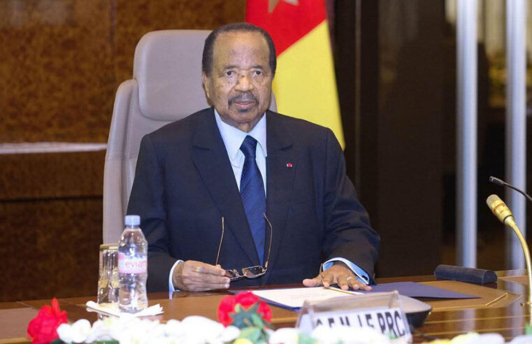 Enjeux de la succession au Cameroun : pourquoi le choix d&rsquo;un vice-président devient crucial