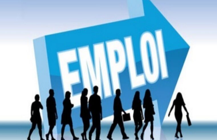 Compétences les plus valorisées pour décrocher un emploi au Togo en 2026