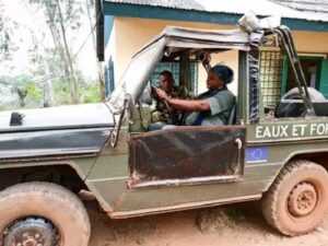 Centrafrique : les méthodes Wagner et les impôts d&rsquo;abattage, un conflit qui divise le ministère de l&rsquo;économie forestière