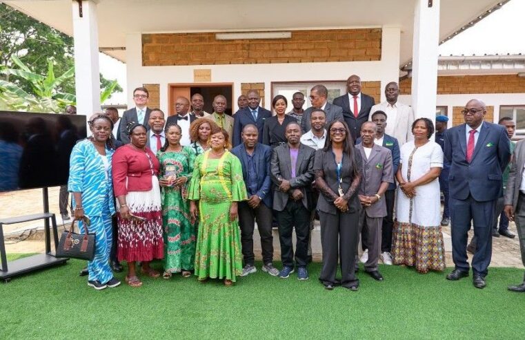 Djoutou au Gabon : quand l&rsquo;apiculture transforme une économie locale