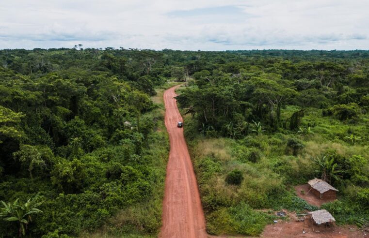 Financements bad au Cameroun : 292 milliards de fefa menacés d&rsquo;annulation