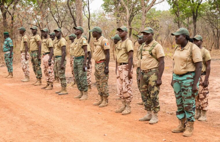 Interdiction des tenues militaires pour les agents tchadiens des eaux et forêts