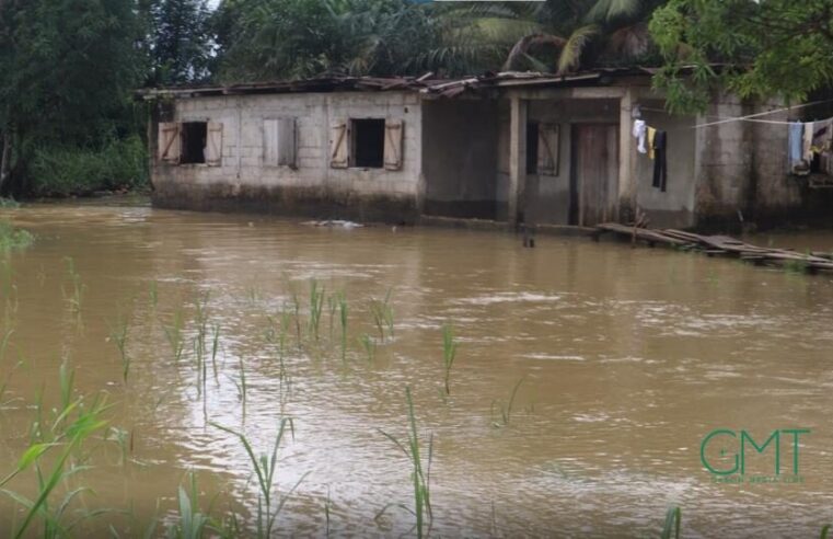 Gabon : l&rsquo;IDH en chute libre, un signal d&rsquo;alerte pour l&rsquo;économie gabonaise