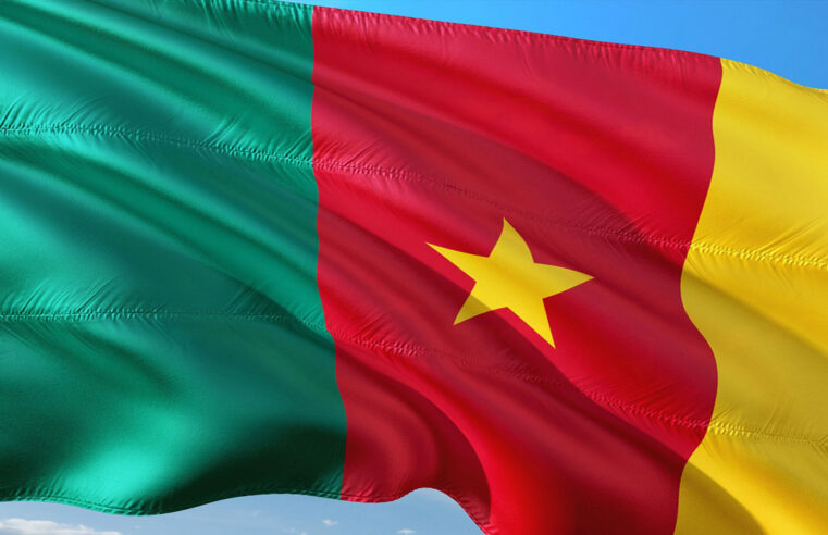 Le Cameroun et la libre circulation en Afrique : une position distincte