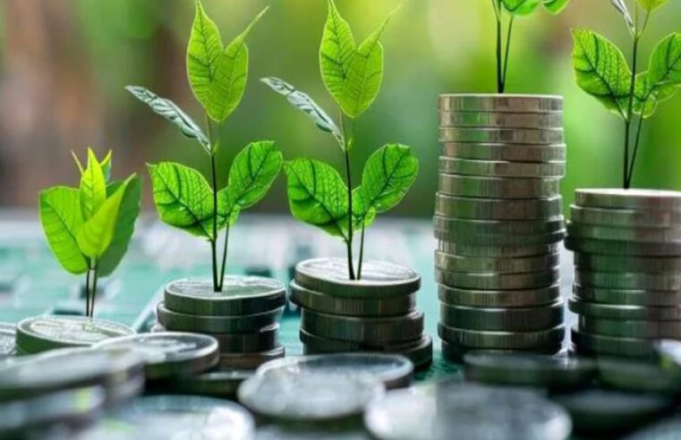 Maroc : une taxonomie verte pour accélérer la transition énergétique