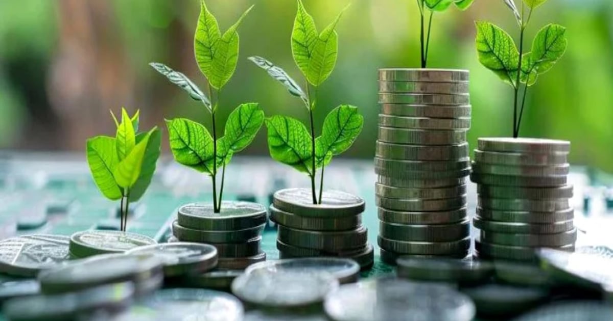 Maroc : une taxonomie verte pour accélérer la transition énergétique