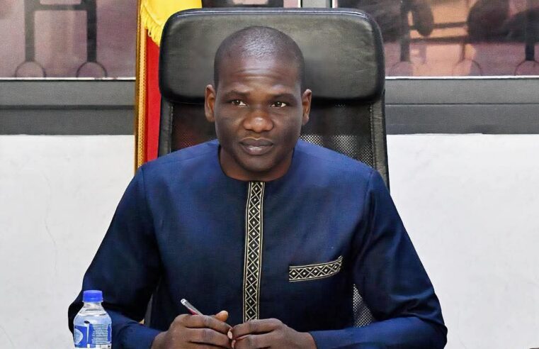 Tchad : suspension urgente de quatre marques de yaourt contaminées