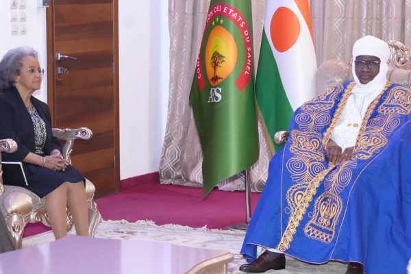 Niger : une rencontre clé pour l&rsquo;avenir de l&rsquo;unowas à Niamey