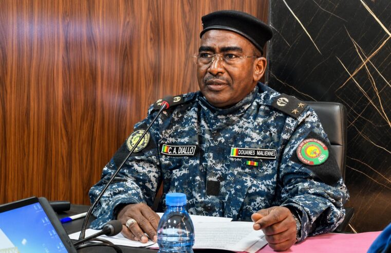 Analyse des mutations douanières au Mali : entre performance et enjeux politiques