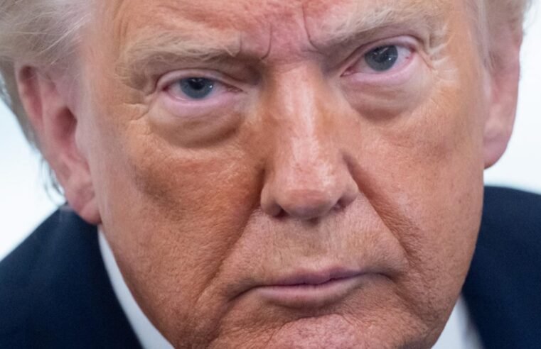 Trump étudie des frappes au Mali contre un groupe terroriste majeur