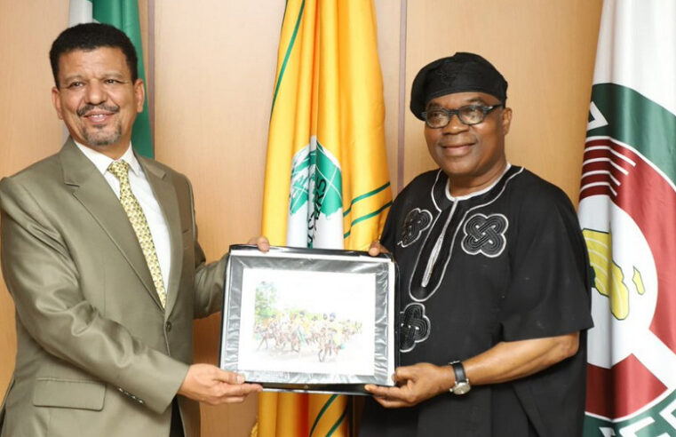 Le Nigeria réaffirme son soutien au Sahara occidental face au projet de gazoduc marocain