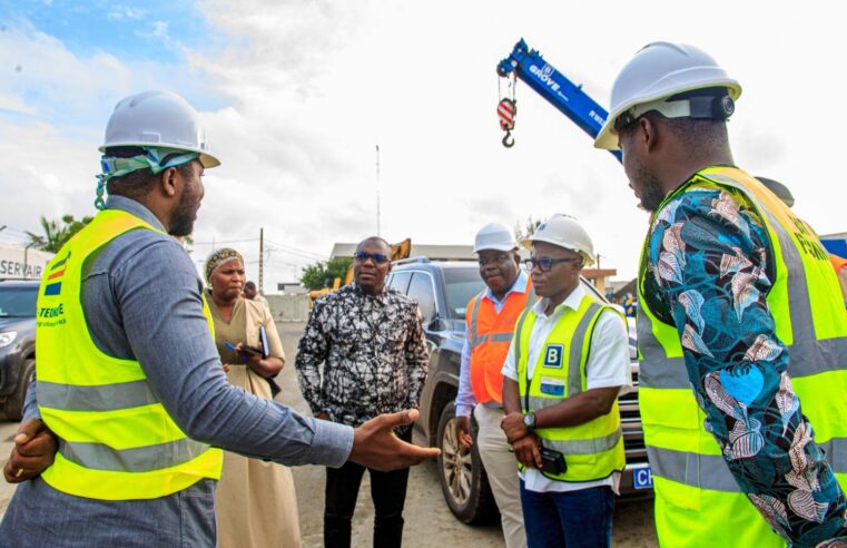 Bénin : une révolution verte booste ses exportations de fruits