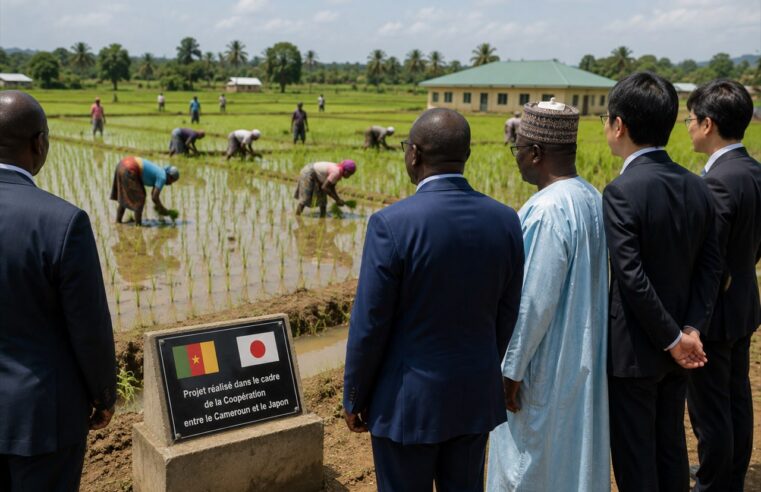 Japon : un engagement de 646 millions de dollars pour soutenir l&rsquo;économie camerounaise