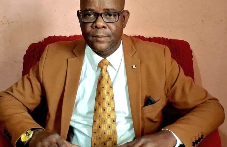 Pacte national gabonais : mbatchi pambou plaide pour une union sacrée autour des défis majeurs