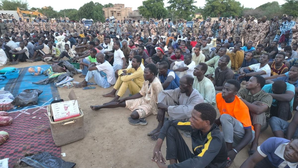 Opération anti-criminalité à n’djamena : 252 interpellations et saisies record