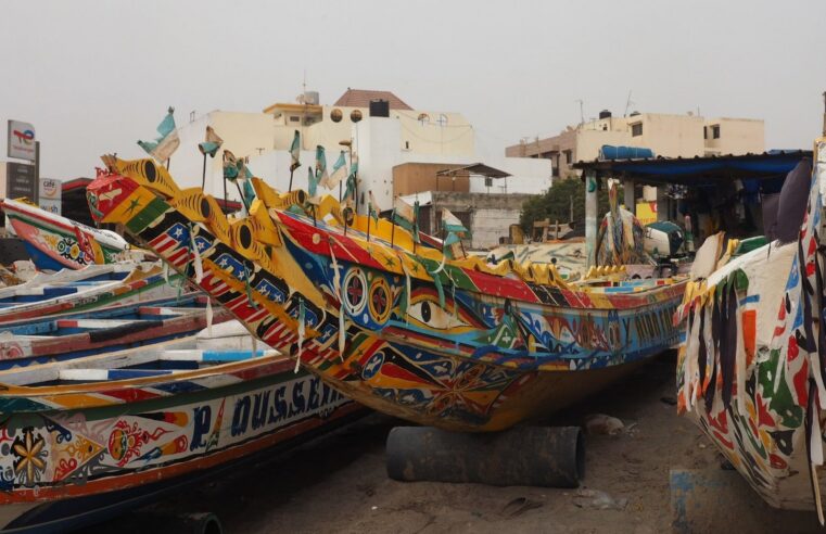 Sénégal : forte hausse des importations en juin malgré le recul semestriel