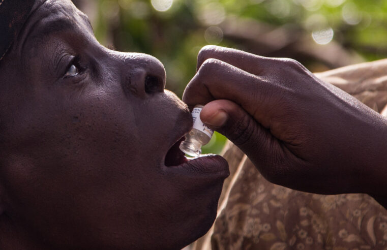 Épidémie de choléra au Tchad : bilan et lutte sanitaire