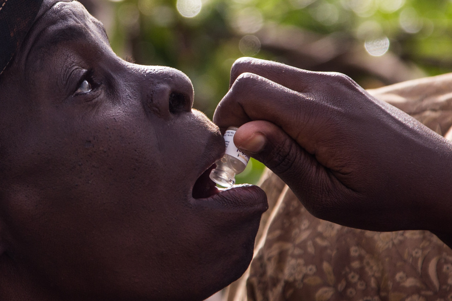 Épidémie de choléra au Tchad : bilan et lutte sanitaire