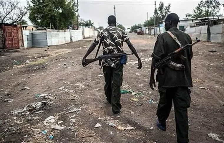 Huit morts dans une attaque de boko haram dans l&rsquo;extrême-nord camerounais
