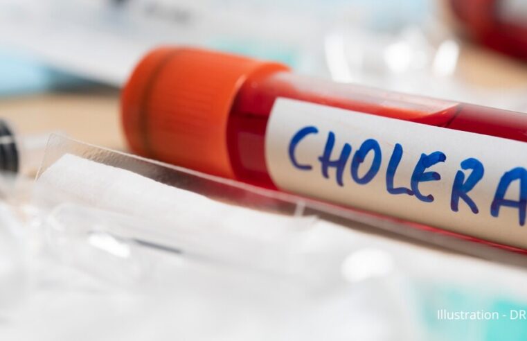 Épidémie de choléra au Tchad : 13 décès et 239 cas confirmés