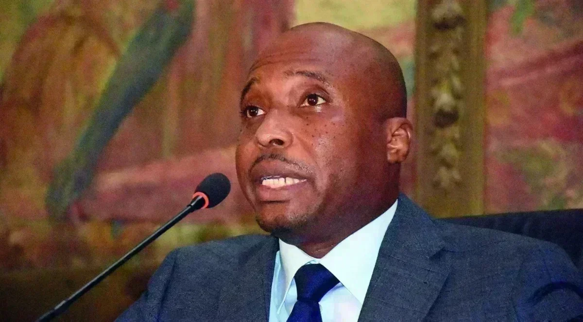 Barthélémy Dias et Maguette Sène, figures de l'opposition sénégalaise